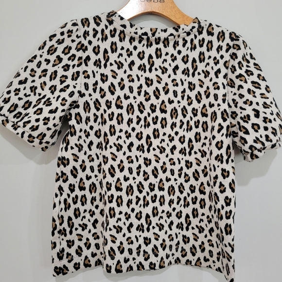 LOFT Cheetah Print Sweater Top Puffy Short Sleeves xs - Picture 3 of 6